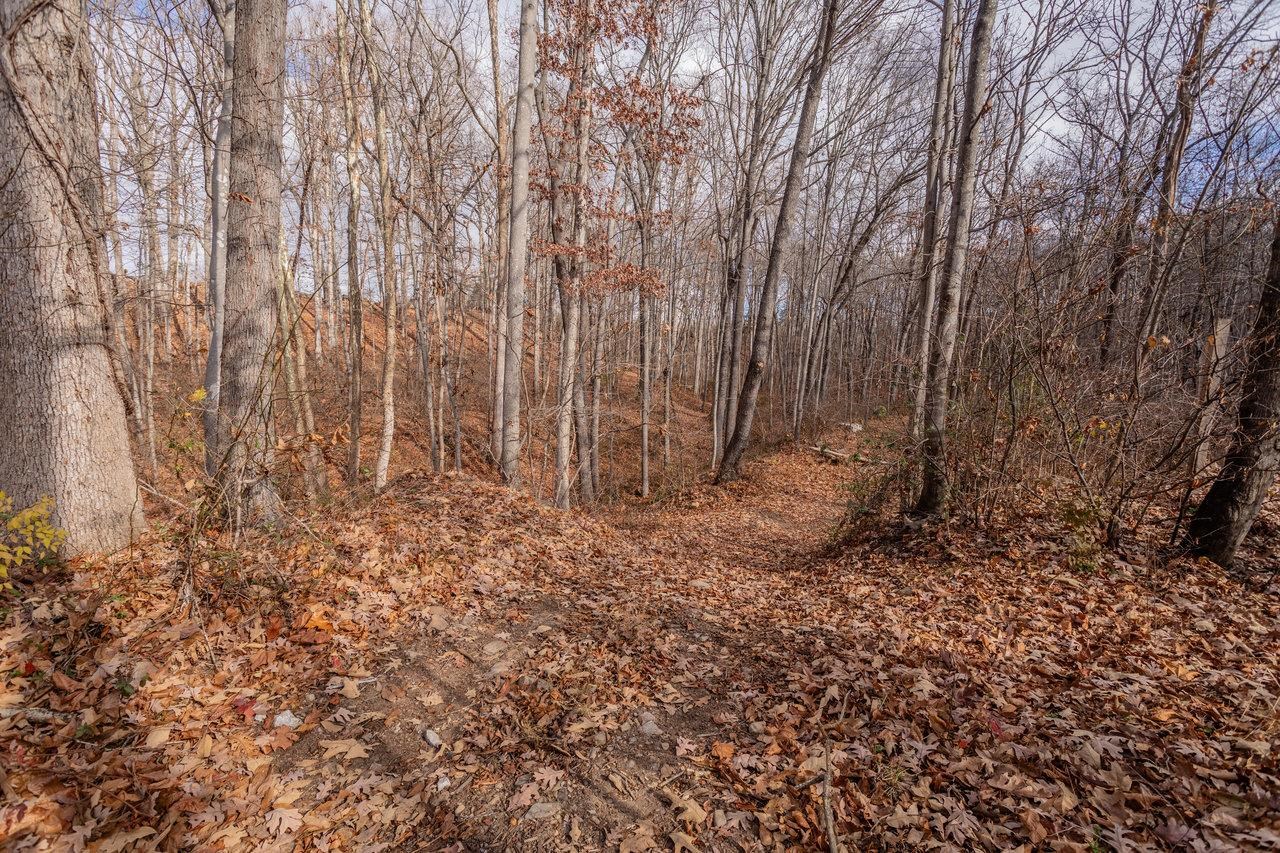 50 HARRISTON RD, GROTTOES, Virginia 24441, 3 Bedrooms Bedrooms, ,2 BathroomsBathrooms,Residential,50 HARRISTON RD,671513 MLS # 671513 50 HARRISTON RD, GROTTOES, Virginia 24441, 3 Bedrooms Bedrooms, ,2 BathroomsBathrooms,Residential,50 HARRISTON RD,671513 MLS # 671513