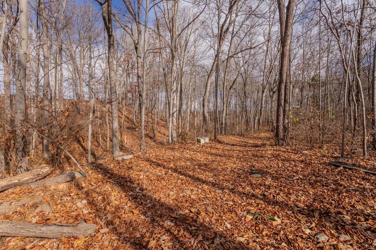 50 HARRISTON RD, GROTTOES, Virginia 24441, 3 Bedrooms Bedrooms, ,2 BathroomsBathrooms,Residential,50 HARRISTON RD,671513 MLS # 671513 50 HARRISTON RD, GROTTOES, Virginia 24441, 3 Bedrooms Bedrooms, ,2 BathroomsBathrooms,Residential,50 HARRISTON RD,671513 MLS # 671513