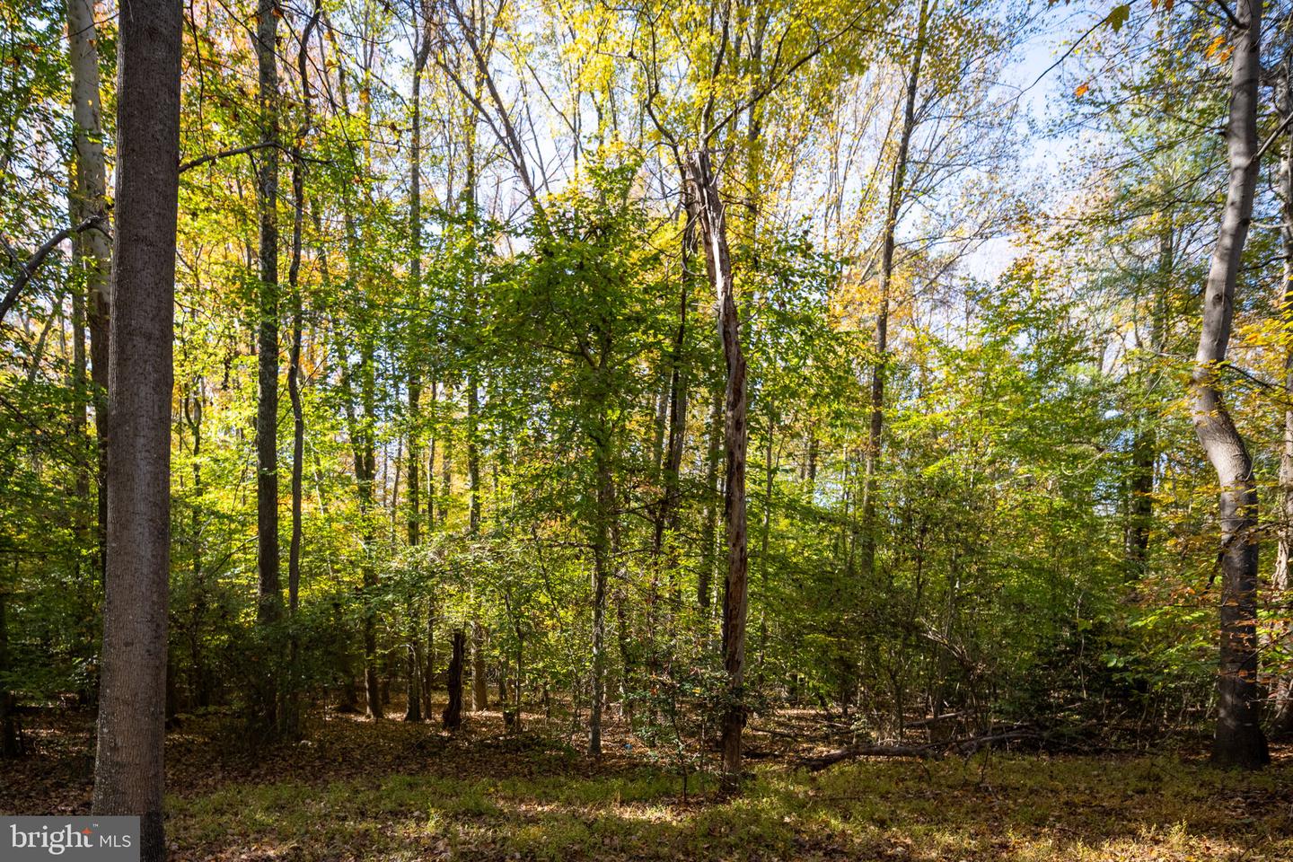 8518 TOMPKINS DR, KING GEORGE, Virginia 22485, 3 Bedrooms Bedrooms, ,2 BathroomsBathrooms,Residential,For sale,8518 TOMPKINS DR,VAKG2007232 MLS # VAKG2007232 8518 TOMPKINS DR, KING GEORGE, Virginia 22485, 3 Bedrooms Bedrooms, ,2 BathroomsBathrooms,Residential,For sale,8518 TOMPKINS DR,VAKG2007232 MLS # VAKG2007232