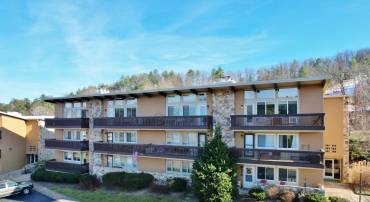 1814 FAIRWAY DRIVE #338, BASYE, Virginia 22810, 1 Bedroom Bedrooms, ,1 BathroomBathrooms,Residential,For sale,1814 FAIRWAY DRIVE #338,VASH2013066 MLS # VASH2013066