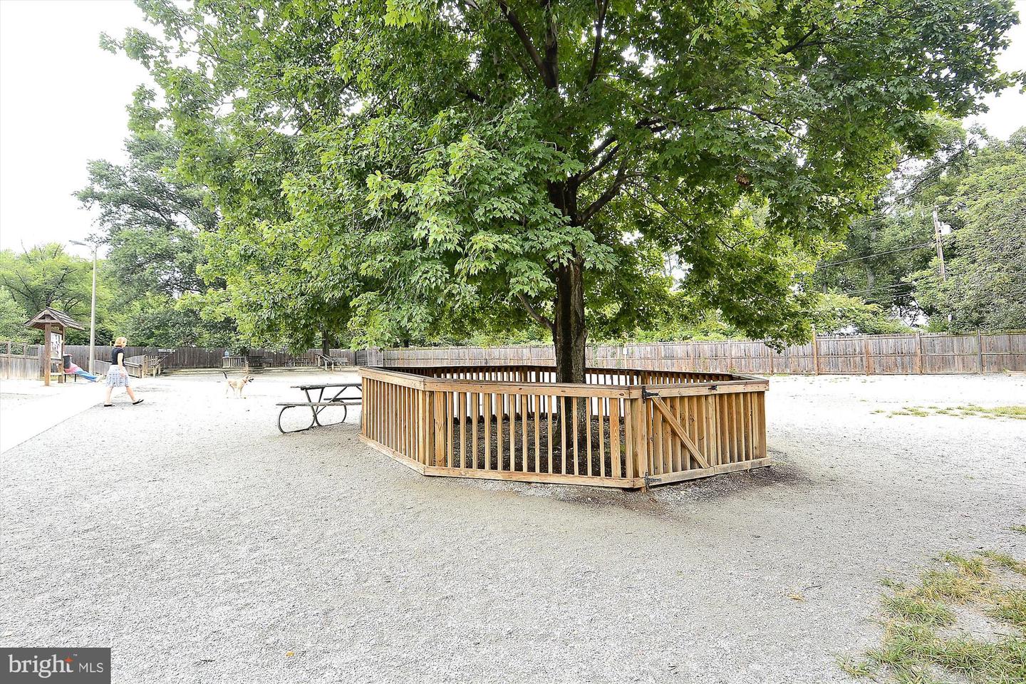 4500 35TH RD N, ARLINGTON, Virginia 22207, 4 Bedrooms Bedrooms, ,3 BathroomsBathrooms,Residential,For sale,4500 35TH RD N,VAAR2066478 MLS # VAAR2066478 4500 35TH RD N, ARLINGTON, Virginia 22207, 4 Bedrooms Bedrooms, ,3 BathroomsBathrooms,Residential,For sale,4500 35TH RD N,VAAR2066478 MLS # VAAR2066478