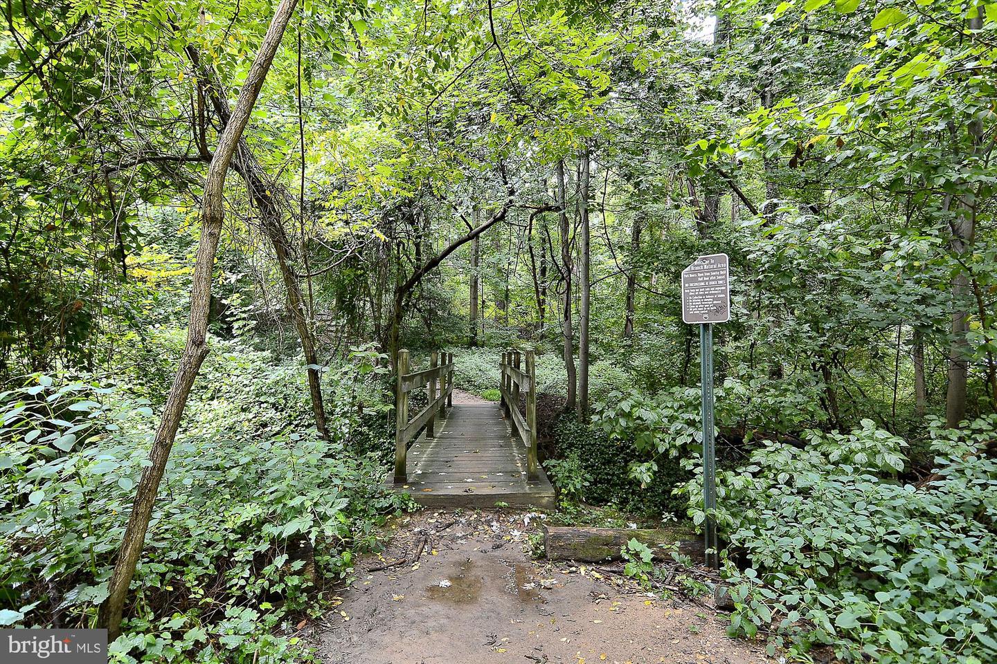 4500 35TH RD N, ARLINGTON, Virginia 22207, 4 Bedrooms Bedrooms, ,3 BathroomsBathrooms,Residential,For sale,4500 35TH RD N,VAAR2066478 MLS # VAAR2066478 4500 35TH RD N, ARLINGTON, Virginia 22207, 4 Bedrooms Bedrooms, ,3 BathroomsBathrooms,Residential,For sale,4500 35TH RD N,VAAR2066478 MLS # VAAR2066478