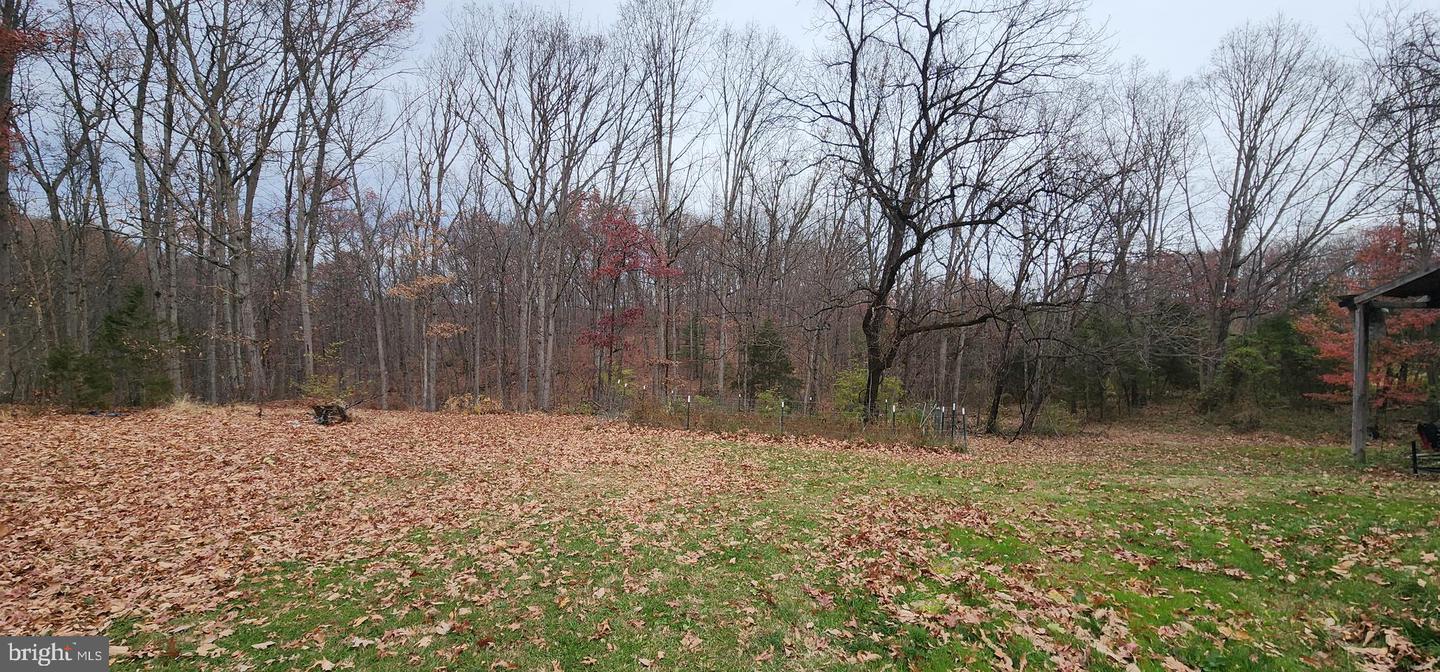 1064 STRASBURG RD, FRONT ROYAL, Virginia 22630, 4 Bedrooms Bedrooms, ,2 BathroomsBathrooms,Residential,For sale,1064 STRASBURG RD,VAWR2012864 MLS # VAWR2012864