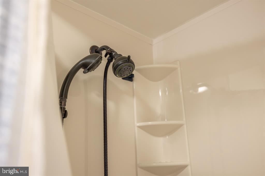 138 FIRST ST, BROADWAY, Virginia 22815, 4 Bedrooms Bedrooms, ,2 BathroomsBathrooms,Residential,For sale,138 FIRST ST,VARO2002758 MLS # VARO2002758 138 FIRST ST, BROADWAY, Virginia 22815, 4 Bedrooms Bedrooms, ,2 BathroomsBathrooms,Residential,For sale,138 FIRST ST,VARO2002758 MLS # VARO2002758