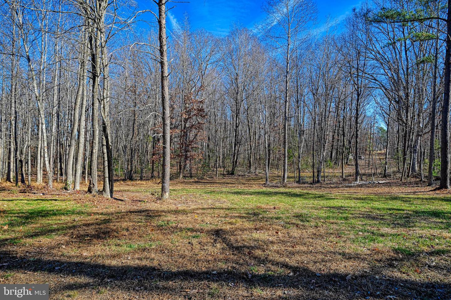 589 THREE CHOPT RD, KENTS STORE, Virginia 23084, 3 Bedrooms Bedrooms, ,2 BathroomsBathrooms,Residential,For sale,589 THREE CHOPT RD,VAFN2000550 MLS # VAFN2000550