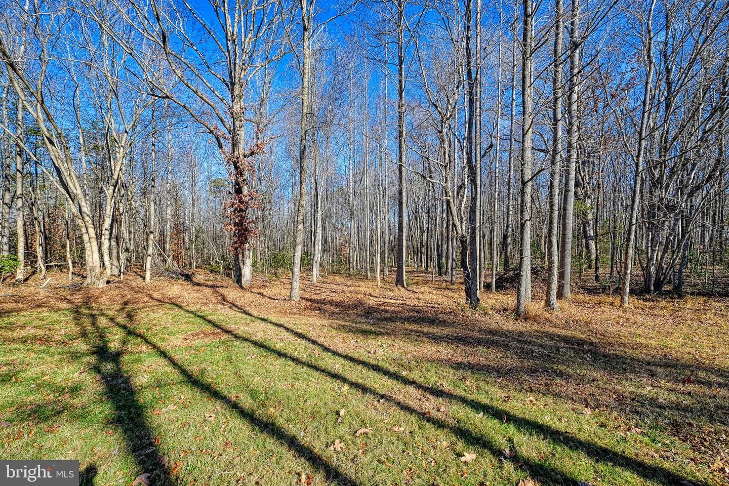 589 THREE CHOPT RD, KENTS STORE, Virginia 23084, 3 Bedrooms Bedrooms, ,2 BathroomsBathrooms,Residential,For sale,589 THREE CHOPT RD,VAFN2000550 MLS # VAFN2000550