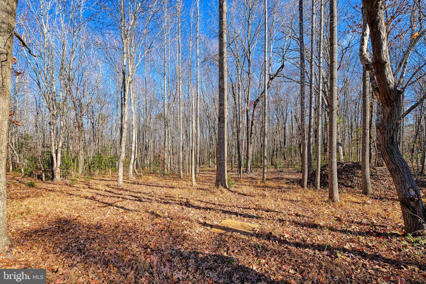 589 THREE CHOPT RD, KENTS STORE, Virginia 23084, 3 Bedrooms Bedrooms, ,2 BathroomsBathrooms,Residential,For sale,589 THREE CHOPT RD,VAFN2000550 MLS # VAFN2000550