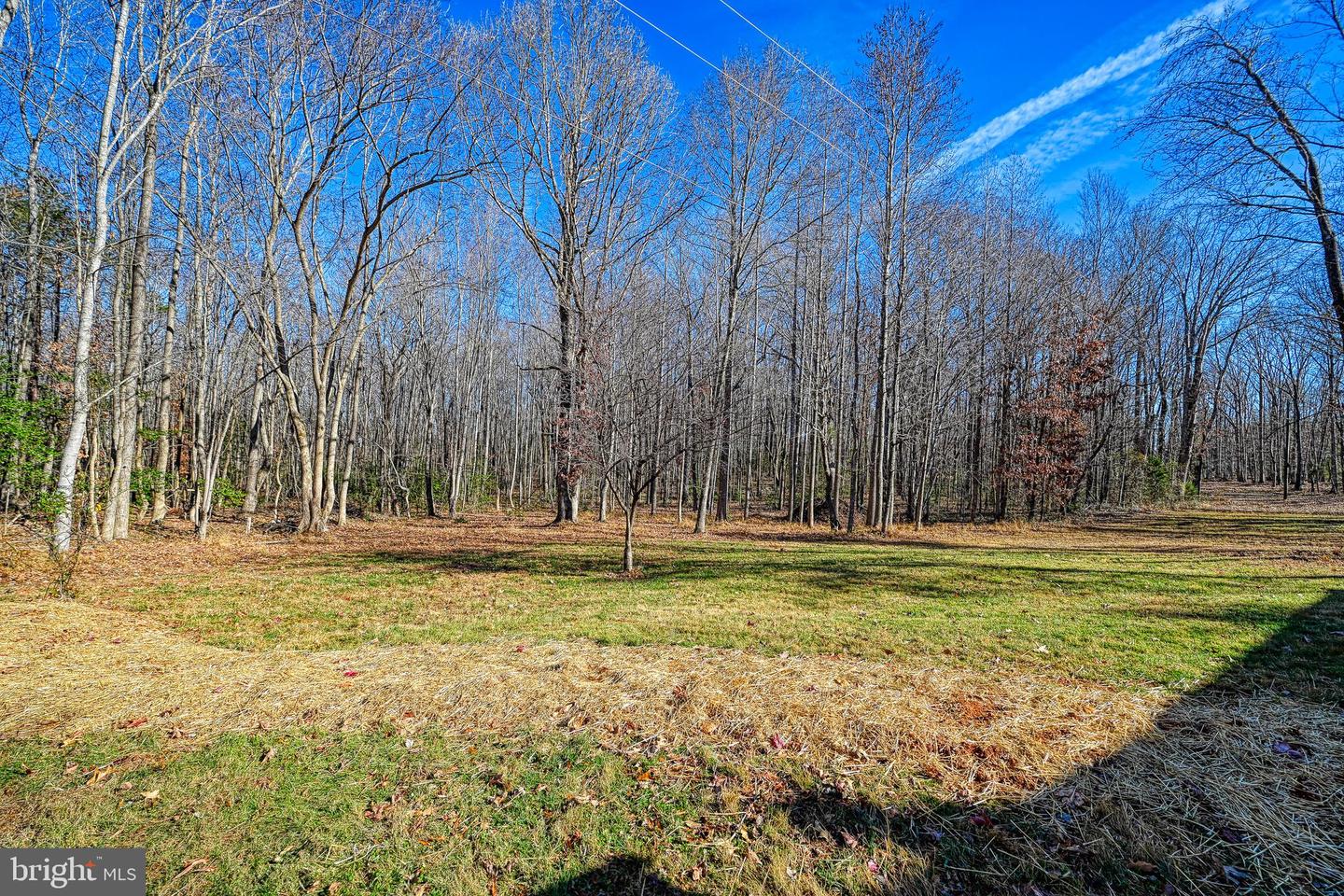 589 THREE CHOPT RD, KENTS STORE, Virginia 23084, 3 Bedrooms Bedrooms, ,2 BathroomsBathrooms,Residential,For sale,589 THREE CHOPT RD,VAFN2000550 MLS # VAFN2000550