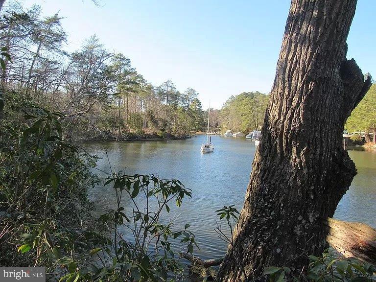 LOT 7 CRANES CREEK HARBOR DRIVE, HEATHSVILLE, Virginia 22473, ,Land,For sale,LOT 7 CRANES CREEK HARBOR DRIVE,VANV2001160 MLS # VANV2001160 LOT 7 CRANES CREEK HARBOR DRIVE, HEATHSVILLE, Virginia 22473, ,Land,For sale,LOT 7 CRANES CREEK HARBOR DRIVE,VANV2001160 MLS # VANV2001160
