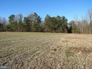 LOT 7 CRANES CREEK HARBOR DRIVE, HEATHSVILLE, Virginia 22473, ,Land,For sale,LOT 7 CRANES CREEK HARBOR DRIVE,VANV2001160 MLS # VANV2001160 LOT 7 CRANES CREEK HARBOR DRIVE, HEATHSVILLE, Virginia 22473, ,Land,For sale,LOT 7 CRANES CREEK HARBOR DRIVE,VANV2001160 MLS # VANV2001160
