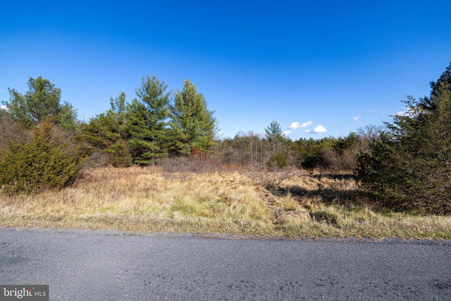 DELLINGER GAP RD, EDINBURG, Virginia 22824, ,Land,For sale,DELLINGER GAP RD,VASH2013052 MLS # VASH2013052
