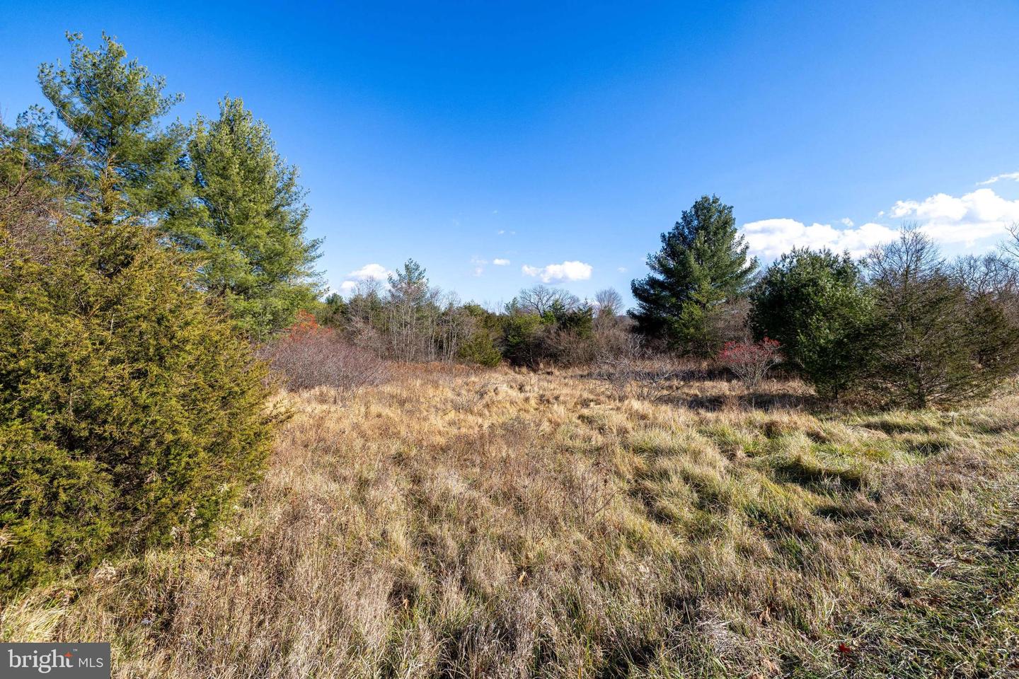 DELLINGER GAP RD, EDINBURG, Virginia 22824, ,Land,For sale,DELLINGER GAP RD,VASH2013052 MLS # VASH2013052