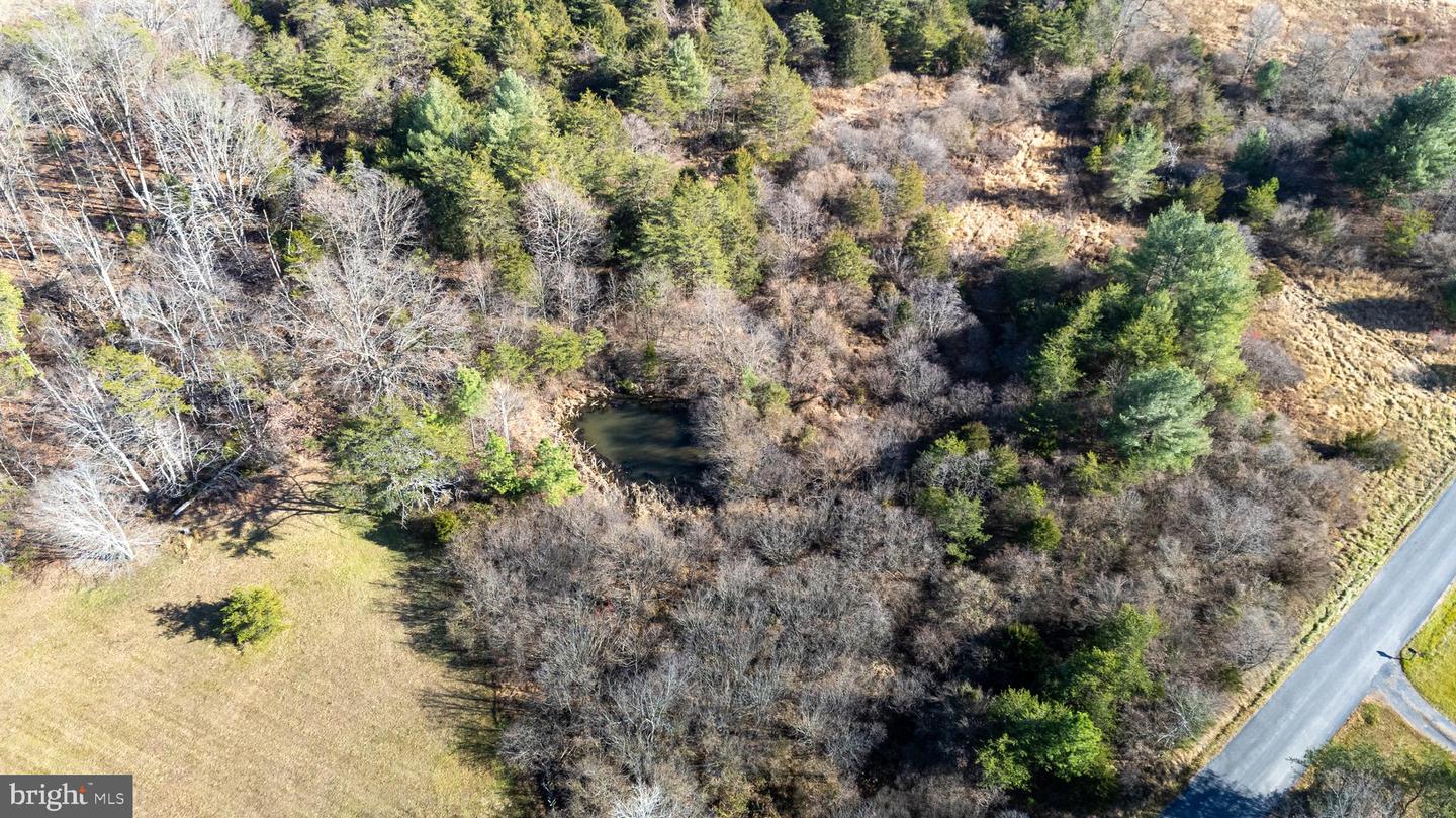 DELLINGER GAP RD, EDINBURG, Virginia 22824, ,Land,For sale,DELLINGER GAP RD,VASH2013052 MLS # VASH2013052