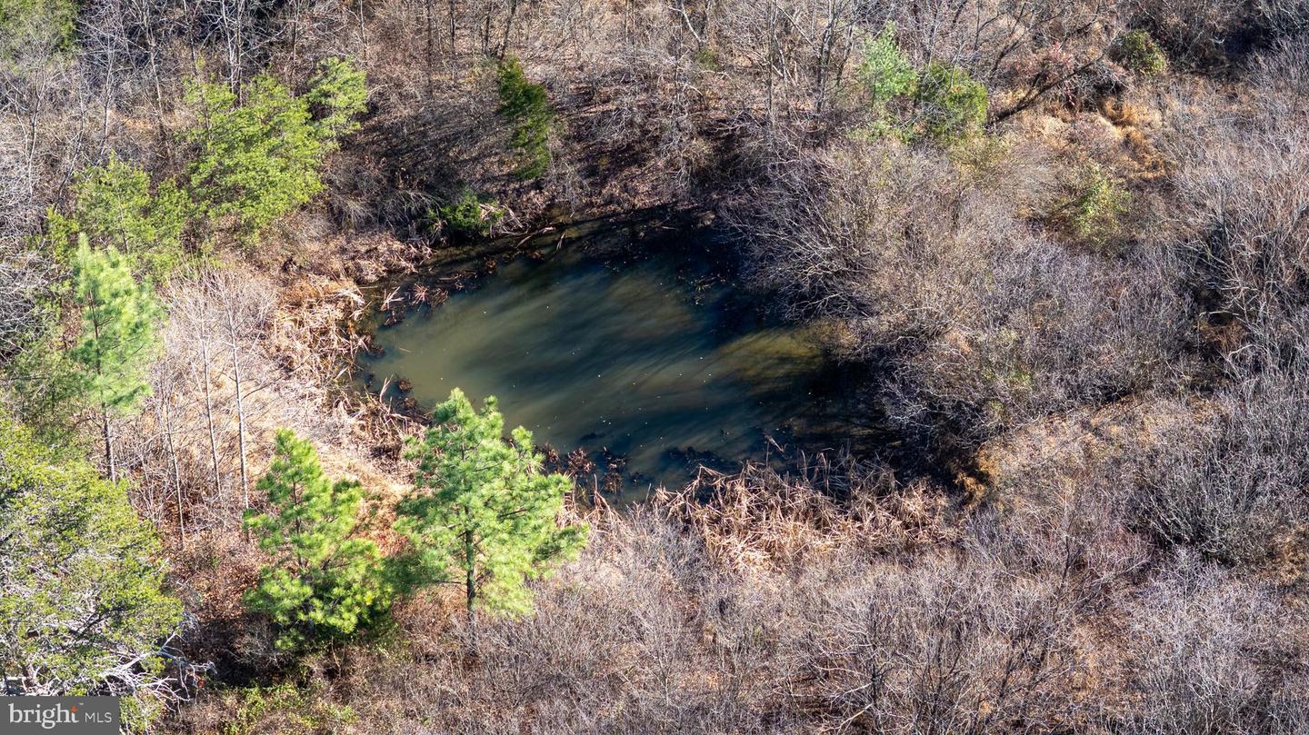 DELLINGER GAP RD, EDINBURG, Virginia 22824, ,Land,For sale,DELLINGER GAP RD,VASH2013052 MLS # VASH2013052