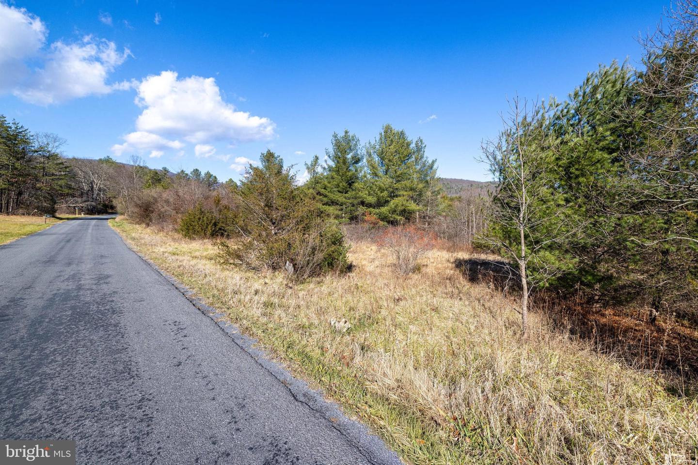 DELLINGER GAP RD, EDINBURG, Virginia 22824, ,Land,For sale,DELLINGER GAP RD,VASH2013052 MLS # VASH2013052
