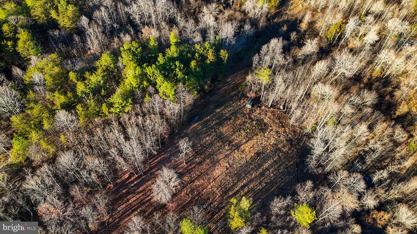 0 CURLEY LN, BUMPASS, Virginia 23024, ,Land,For sale,0 CURLEY LN,VALA2008968 MLS # VALA2008968