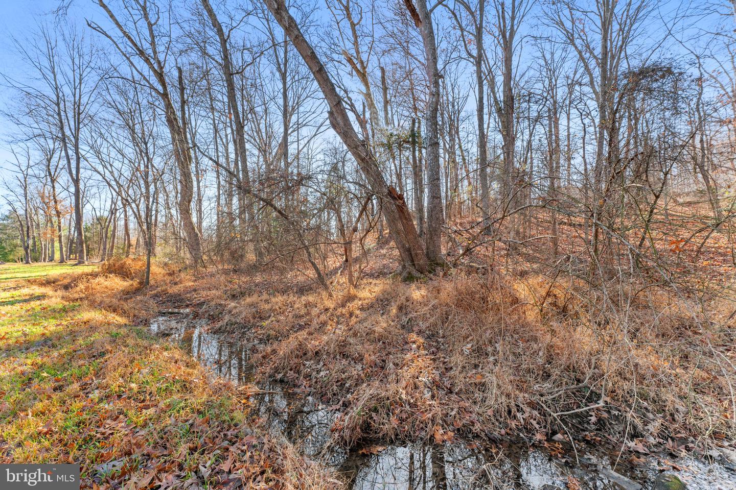 19168 LOVERS LN, GORDONSVILLE, Virginia 22942, 3 Bedrooms Bedrooms, ,2 BathroomsBathrooms,Residential,For sale,19168 LOVERS LN,VAOR2012878 MLS # VAOR2012878