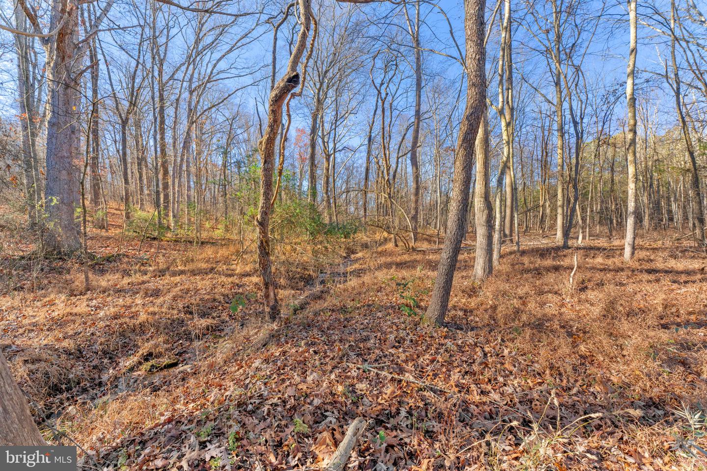 19168 LOVERS LN, GORDONSVILLE, Virginia 22942, 3 Bedrooms Bedrooms, ,2 BathroomsBathrooms,Residential,For sale,19168 LOVERS LN,VAOR2012878 MLS # VAOR2012878