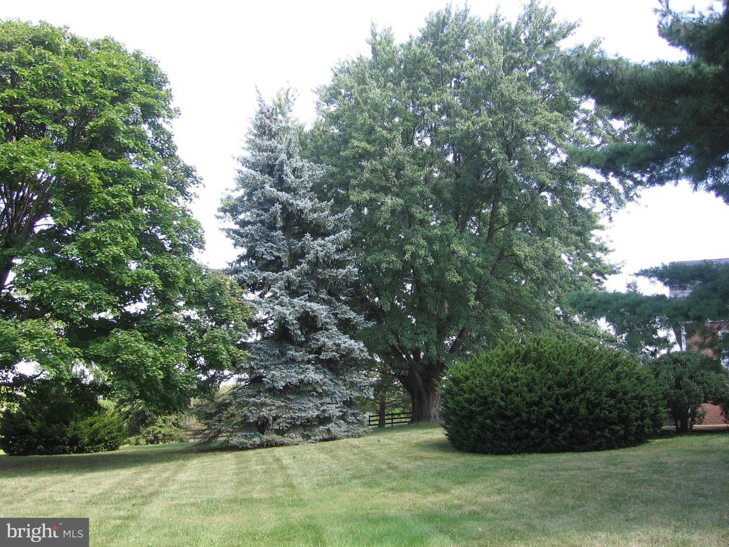 349 TOWN RUN LN, STEPHENS CITY, Virginia 22655, ,Land,For sale,349 TOWN RUN LN,VAFV2038250 MLS # VAFV2038250 349 TOWN RUN LN, STEPHENS CITY, Virginia 22655, ,Land,For sale,349 TOWN RUN LN,VAFV2038250 MLS # VAFV2038250