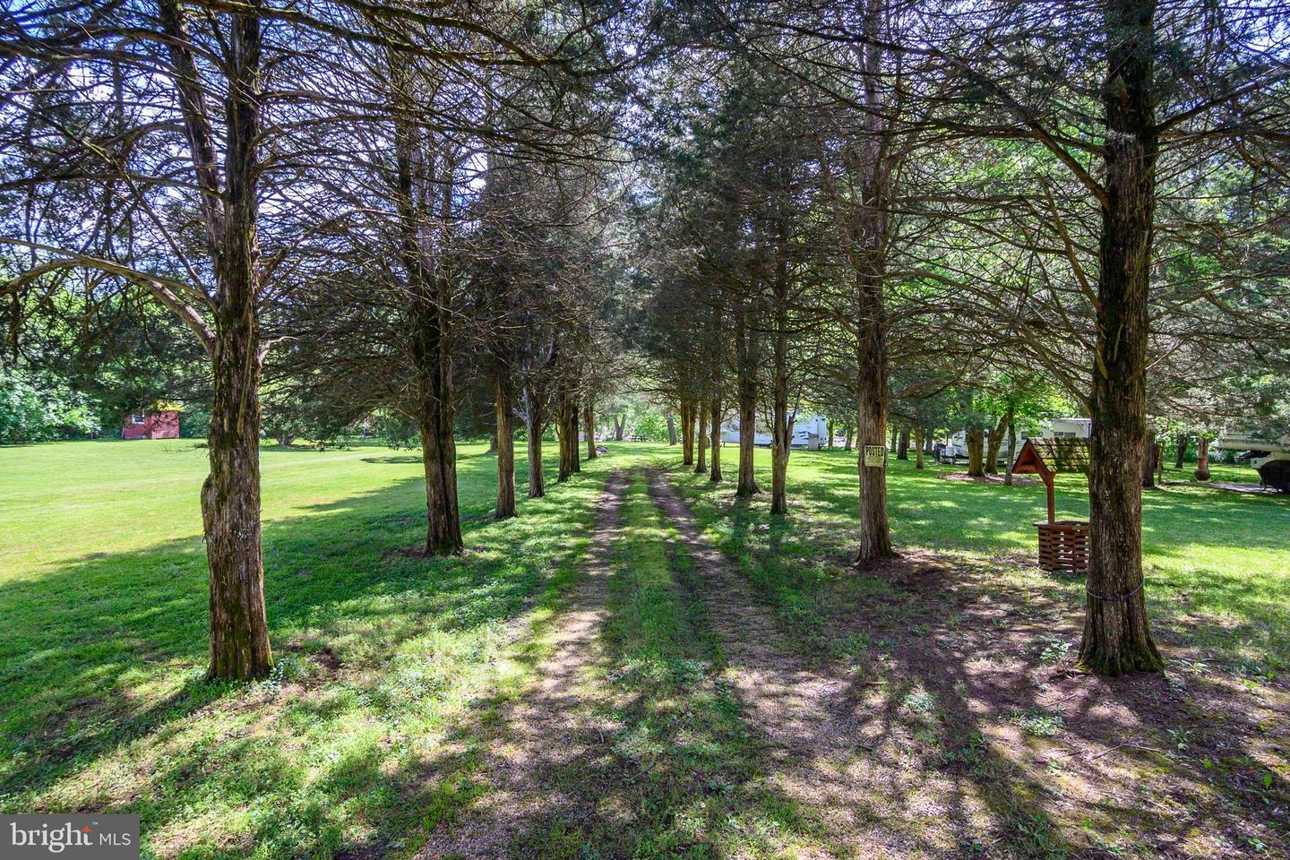 LOT 90A, 91A, 129, 130, 131 VESEY DR, FRONT ROYAL, Virginia 22630, ,Land,For sale,LOT 90A,91A,129,130,131 VESEY DR,VAWR2010412 MLS # VAWR2010412 LOT 90A, 91A, 129, 130, 131 VESEY DR, FRONT ROYAL, Virginia 22630, ,Land,For sale,LOT 90A,91A,129,130,131 VESEY DR,VAWR2010412 MLS # VAWR2010412