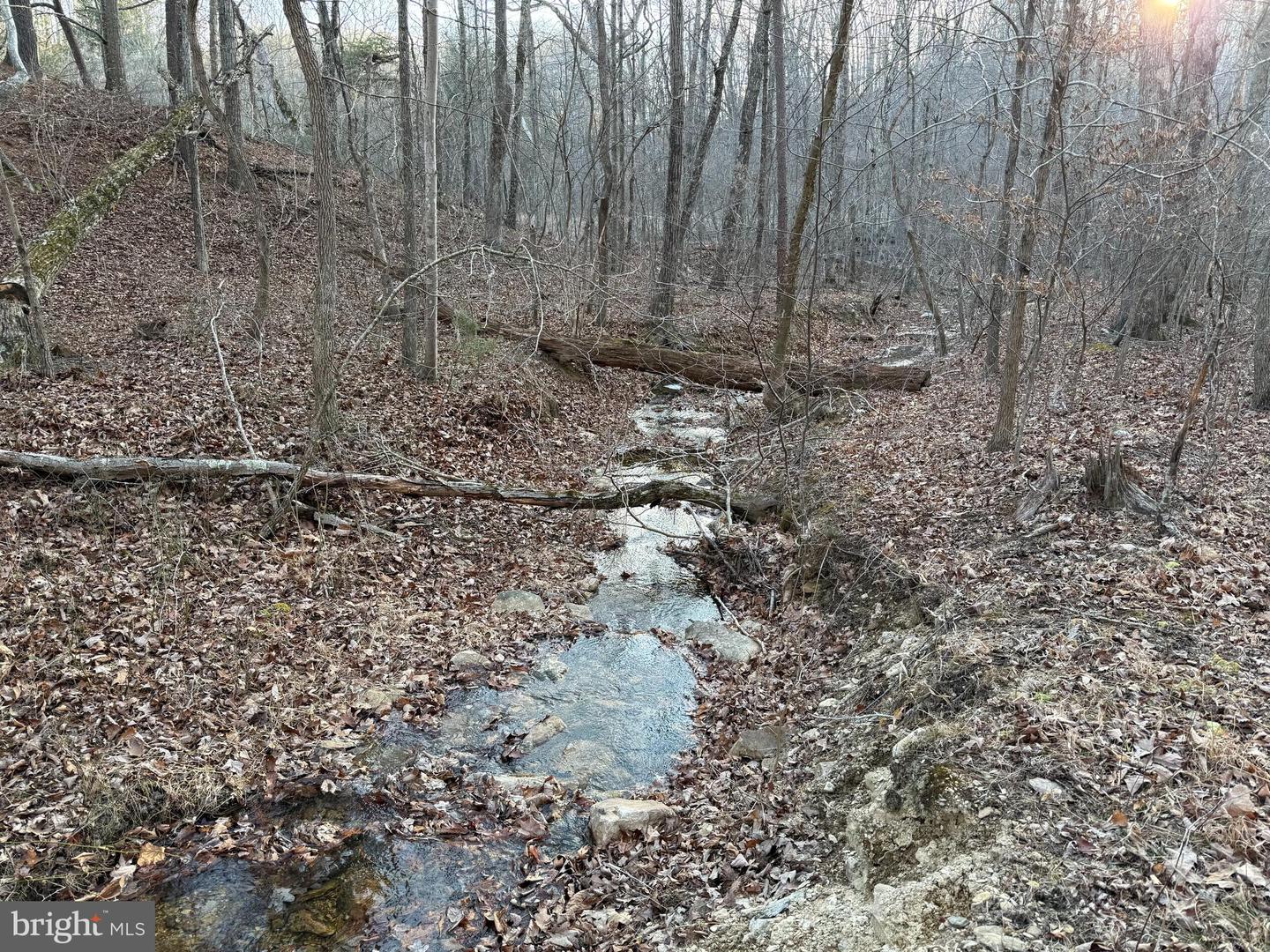 LOT 90A, 91A, 129, 130, 131 VESEY DR, FRONT ROYAL, Virginia 22630, ,Land,For sale,LOT 90A,91A,129,130,131 VESEY DR,VAWR2010412 MLS # VAWR2010412 LOT 90A, 91A, 129, 130, 131 VESEY DR, FRONT ROYAL, Virginia 22630, ,Land,For sale,LOT 90A,91A,129,130,131 VESEY DR,VAWR2010412 MLS # VAWR2010412