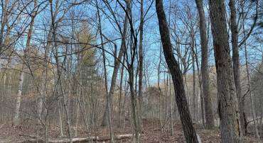 LOT 90A, 91A, 129, 130, 131 VESEY DR, FRONT ROYAL, Virginia 22630, ,Land,For sale,LOT 90A,91A,129,130,131 VESEY DR,VAWR2010412 MLS # VAWR2010412