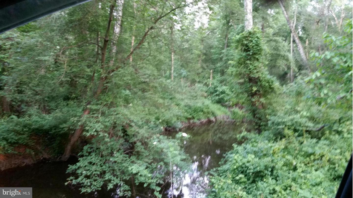 TAX IDS 35 71&71C STONEY KNOLL AND KINGS MILL, KING GEORGE, Virginia 22485, ,Farm,For sale,TAX IDS 35 71&71C STONEY KNOLL AND KINGS MILL ,VAKG2006628 MLS # VAKG2006628 TAX IDS 35 71&71C STONEY KNOLL AND KINGS MILL, KING GEORGE, Virginia 22485, ,Farm,For sale,TAX IDS 35 71&71C STONEY KNOLL AND KINGS MILL ,VAKG2006628 MLS # VAKG2006628