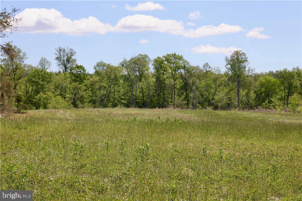 0 OLD APPLE GROVE RD, MINERAL, Virginia 23117, ,Land,For sale,0 OLD APPLE GROVE RD,VALA2008228 MLS # VALA2008228