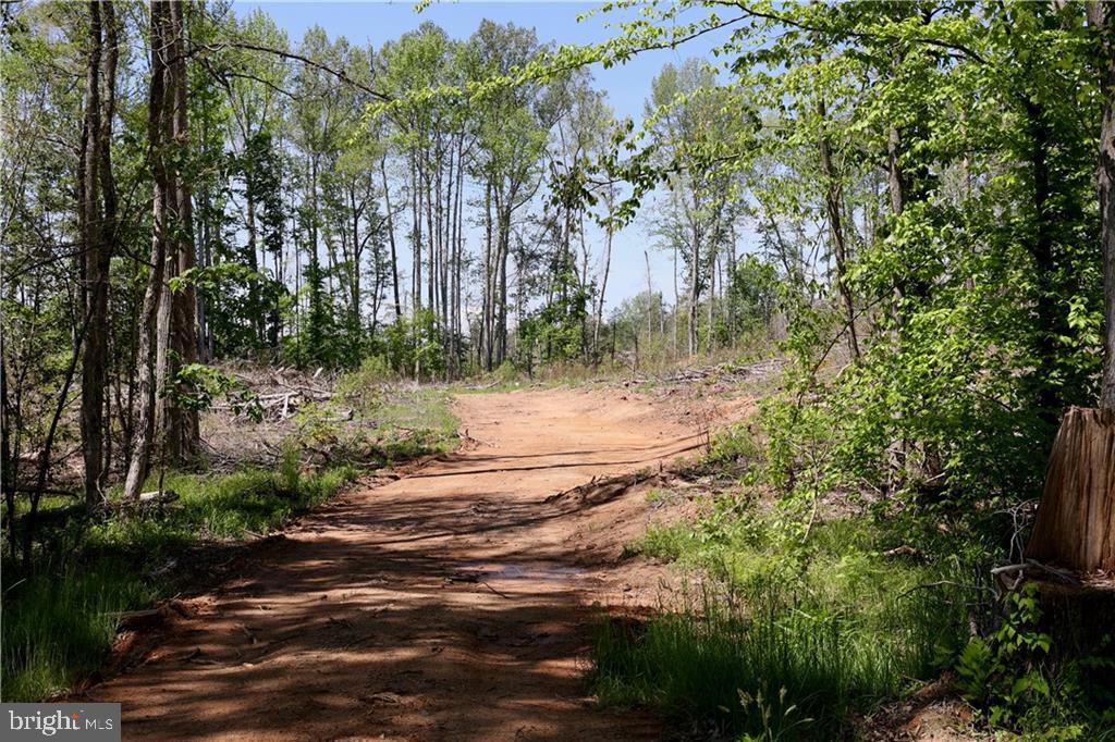 0 OLD APPLE GROVE RD, MINERAL, Virginia 23117, ,Land,For sale,0 OLD APPLE GROVE RD,VALA2008228 MLS # VALA2008228