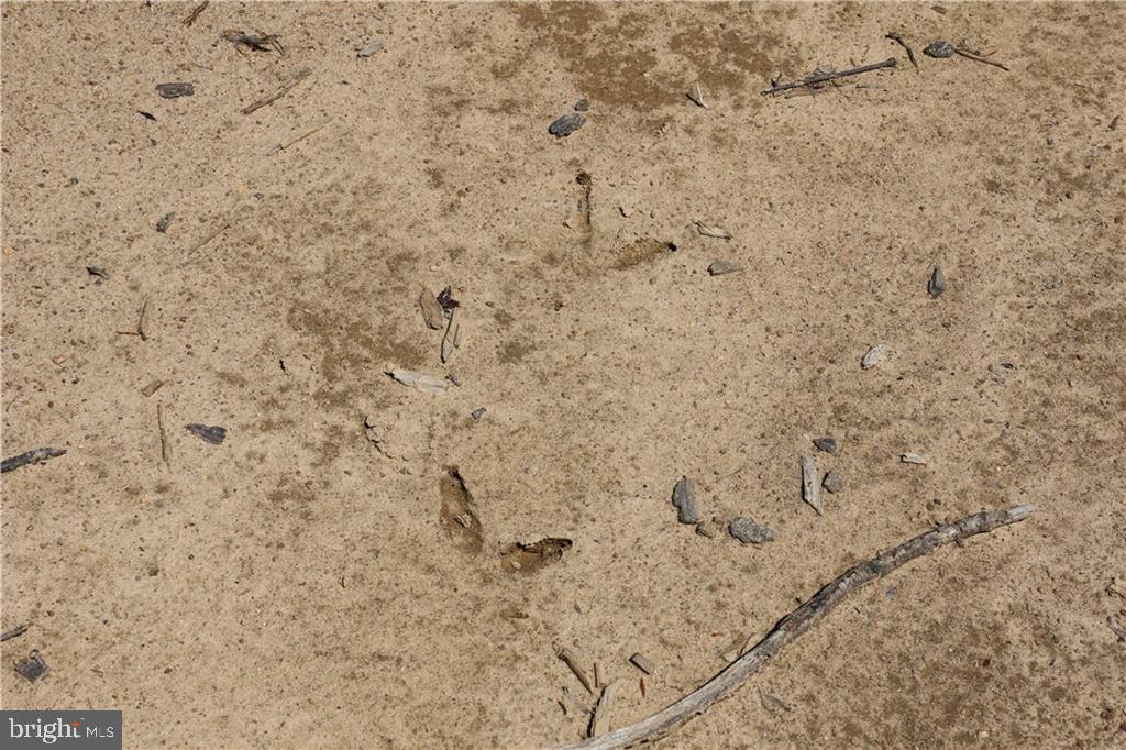 0 OLD APPLE GROVE RD, MINERAL, Virginia 23117, ,Land,For sale,0 OLD APPLE GROVE RD,VALA2008228 MLS # VALA2008228