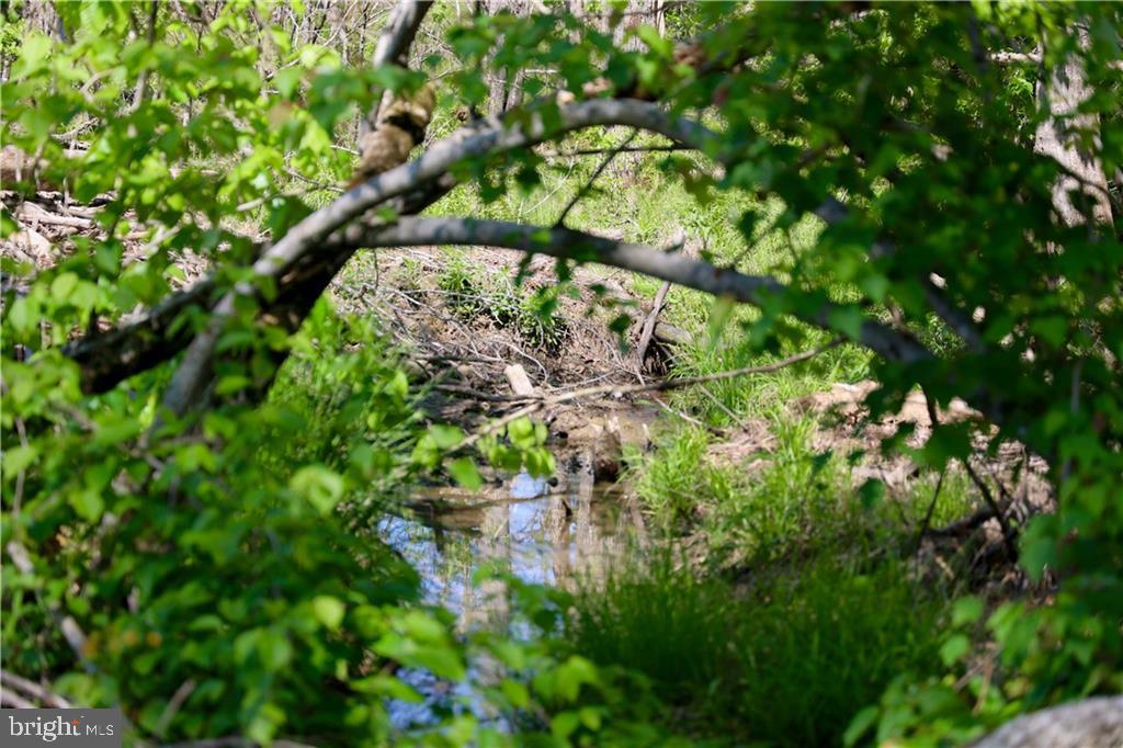 0 OLD APPLE GROVE RD, MINERAL, Virginia 23117, ,Land,For sale,0 OLD APPLE GROVE RD,VALA2008228 MLS # VALA2008228