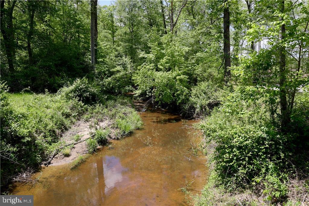 0 OLD APPLE GROVE RD, MINERAL, Virginia 23117, ,Land,For sale,0 OLD APPLE GROVE RD,VALA2008228 MLS # VALA2008228