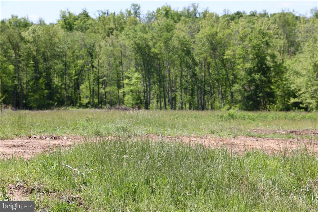 0 OLD APPLE GROVE RD, MINERAL, Virginia 23117, ,Land,For sale,0 OLD APPLE GROVE RD,VALA2008228 MLS # VALA2008228