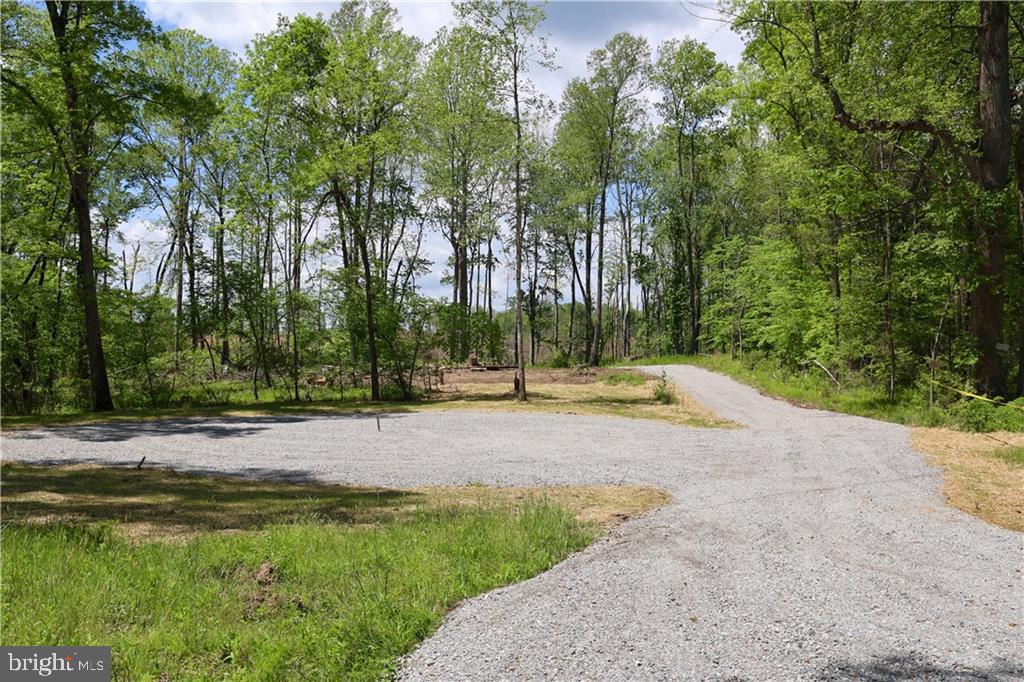 0 OLD APPLE GROVE RD, MINERAL, Virginia 23117, ,Land,For sale,0 OLD APPLE GROVE RD,VALA2008228 MLS # VALA2008228