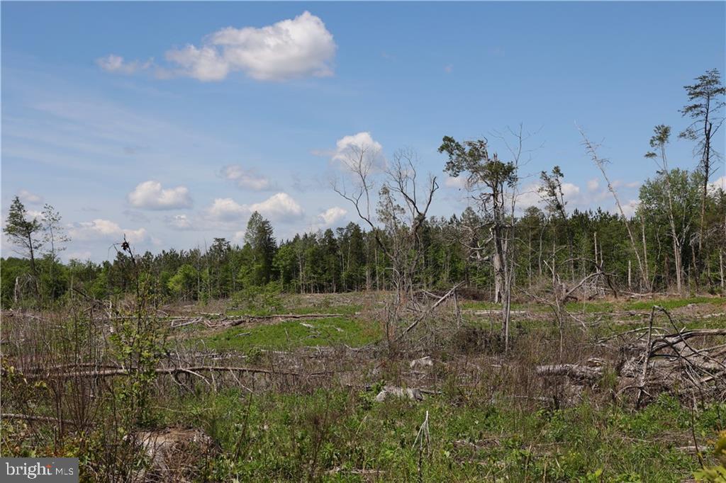 0 OLD APPLE GROVE RD, MINERAL, Virginia 23117, ,Land,For sale,0 OLD APPLE GROVE RD,VALA2008228 MLS # VALA2008228