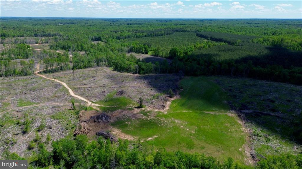 0 OLD APPLE GROVE RD, MINERAL, Virginia 23117, ,Land,For sale,0 OLD APPLE GROVE RD,VALA2008228 MLS # VALA2008228