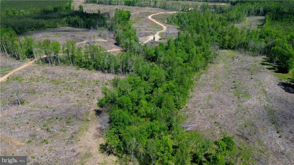 0 OLD APPLE GROVE RD, MINERAL, Virginia 23117, ,Land,For sale,0 OLD APPLE GROVE RD,VALA2008228 MLS # VALA2008228