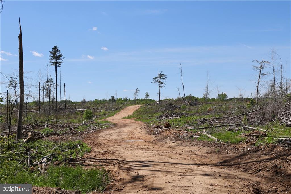 0 OLD APPLE GROVE RD, MINERAL, Virginia 23117, ,Land,For sale,0 OLD APPLE GROVE RD,VALA2008228 MLS # VALA2008228