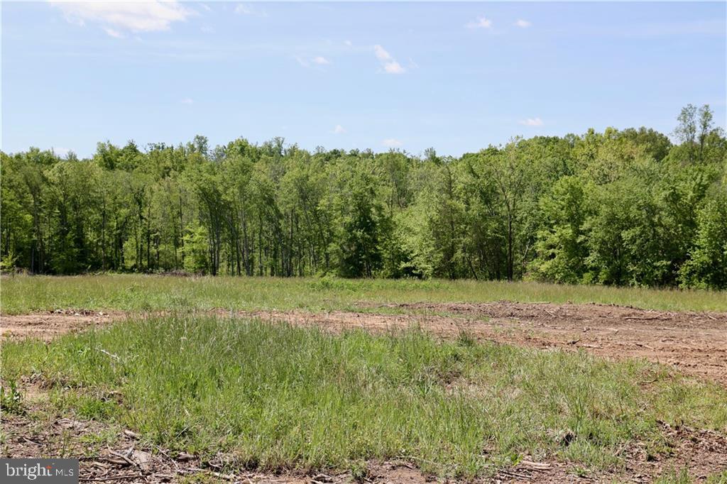 0 OLD APPLE GROVE RD, MINERAL, Virginia 23117, ,Land,For sale,0 OLD APPLE GROVE RD,VALA2008228 MLS # VALA2008228