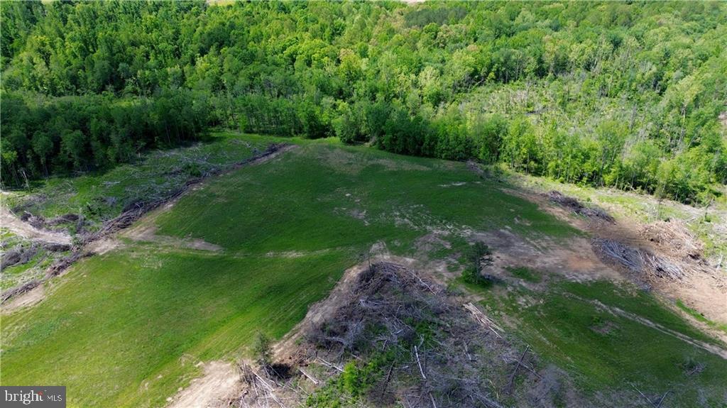 0 OLD APPLE GROVE RD, MINERAL, Virginia 23117, ,Land,For sale,0 OLD APPLE GROVE RD,VALA2008228 MLS # VALA2008228