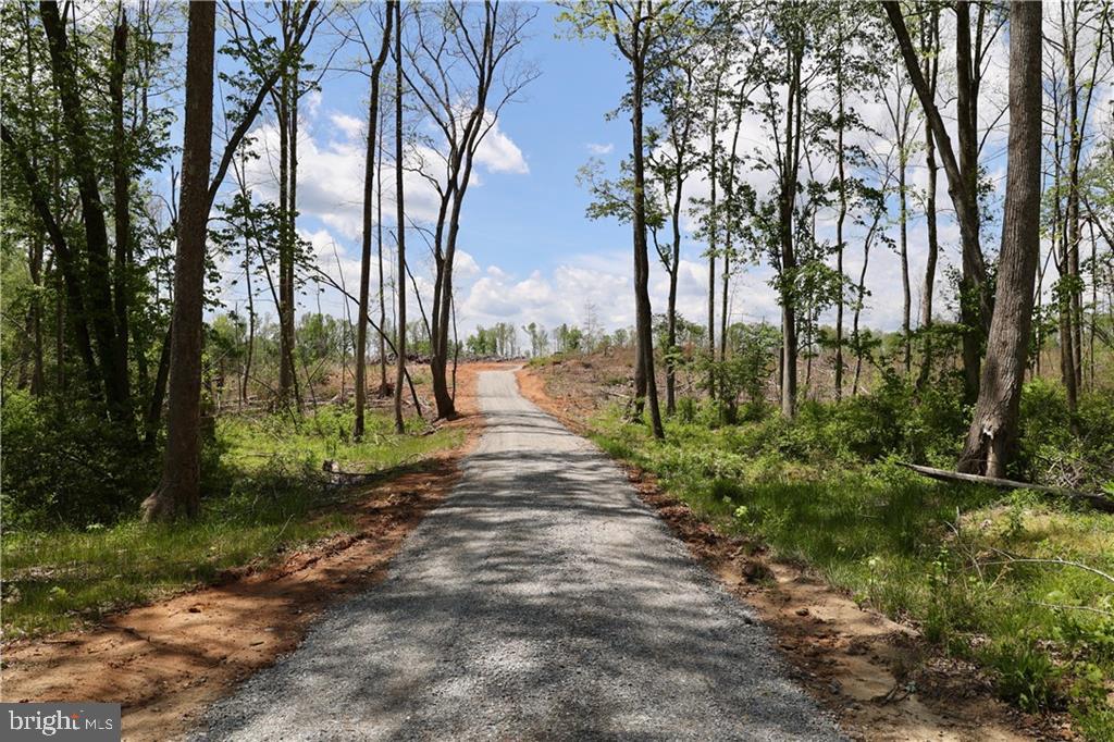 0 OLD APPLE GROVE RD, MINERAL, Virginia 23117, ,Land,For sale,0 OLD APPLE GROVE RD,VALA2008228 MLS # VALA2008228