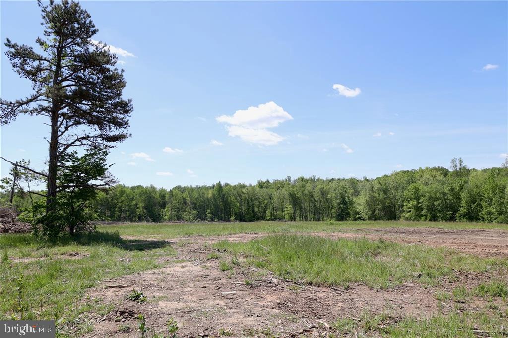 0 OLD APPLE GROVE RD, MINERAL, Virginia 23117, ,Land,For sale,0 OLD APPLE GROVE RD,VALA2008228 MLS # VALA2008228