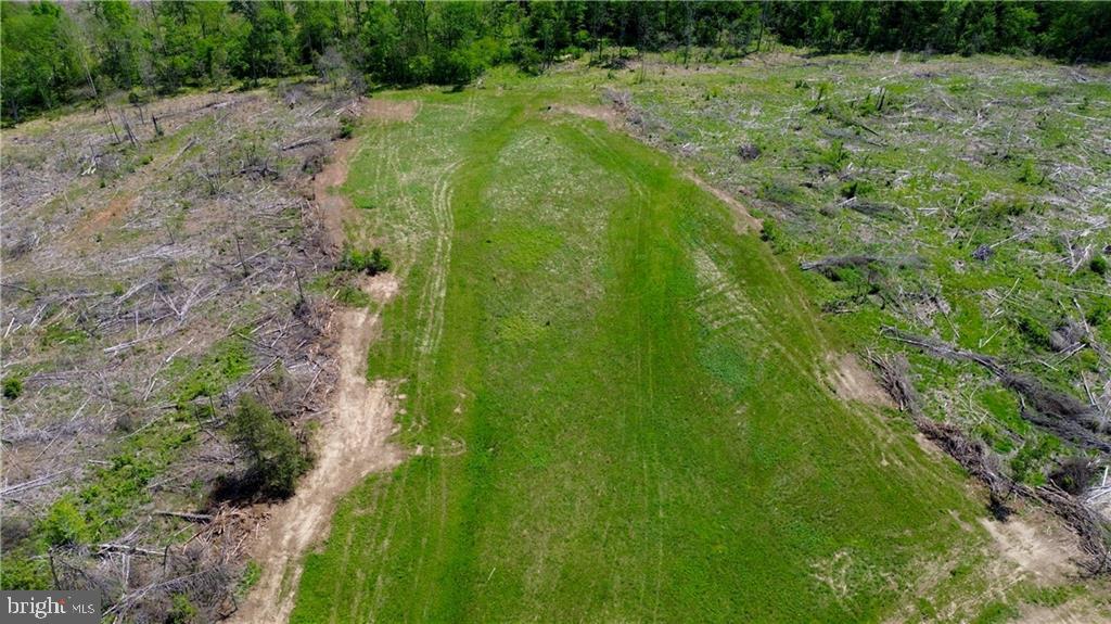 0 OLD APPLE GROVE RD, MINERAL, Virginia 23117, ,Land,For sale,0 OLD APPLE GROVE RD,VALA2008228 MLS # VALA2008228