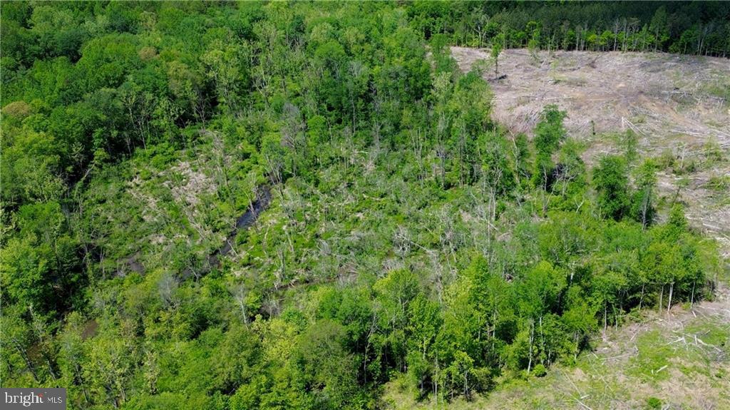 0 OLD APPLE GROVE RD, MINERAL, Virginia 23117, ,Land,For sale,0 OLD APPLE GROVE RD,VALA2008228 MLS # VALA2008228