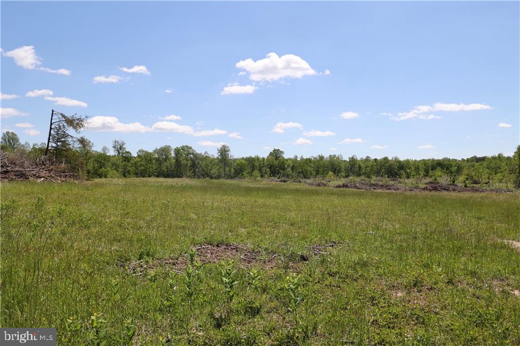 0 OLD APPLE GROVE RD, MINERAL, Virginia 23117, ,Land,For sale,0 OLD APPLE GROVE RD,VALA2008228 MLS # VALA2008228