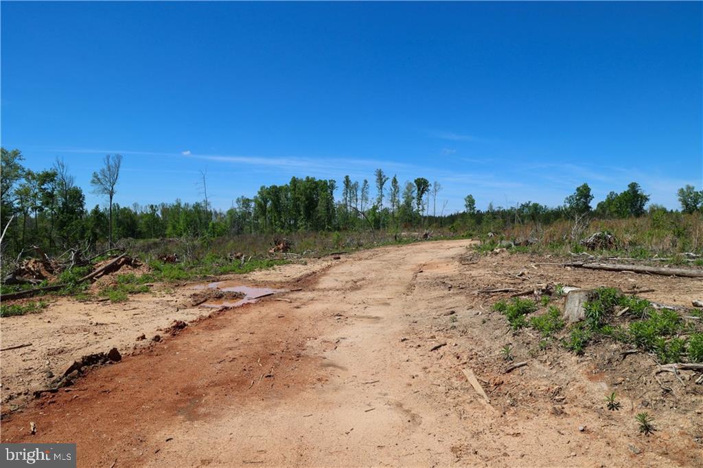 0 OLD APPLE GROVE RD, MINERAL, Virginia 23117, ,Land,For sale,0 OLD APPLE GROVE RD,VALA2008228 MLS # VALA2008228