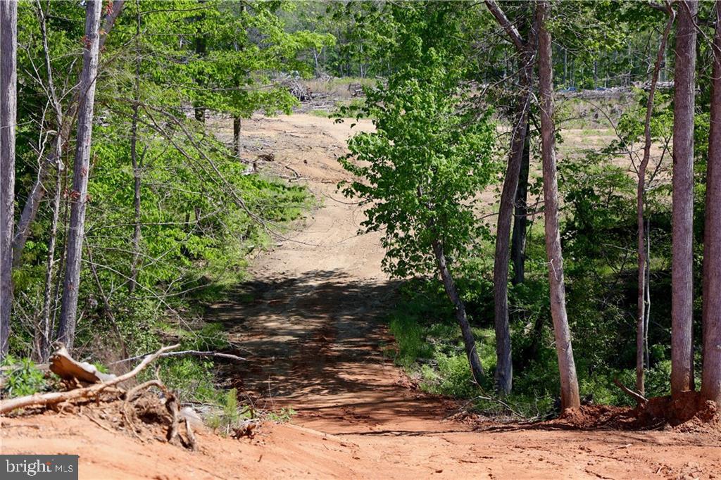 0 OLD APPLE GROVE RD, MINERAL, Virginia 23117, ,Land,For sale,0 OLD APPLE GROVE RD,VALA2008228 MLS # VALA2008228