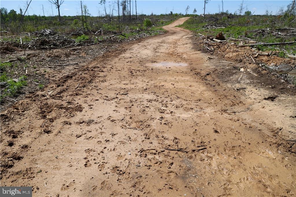 0 OLD APPLE GROVE RD, MINERAL, Virginia 23117, ,Land,For sale,0 OLD APPLE GROVE RD,VALA2008228 MLS # VALA2008228