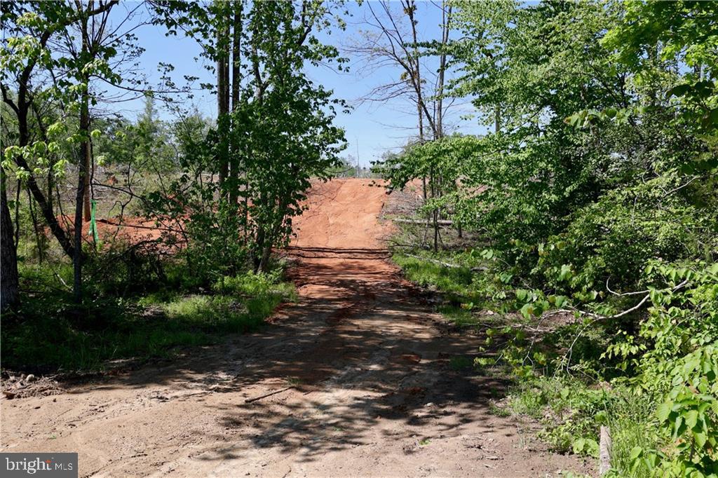 0 OLD APPLE GROVE RD, MINERAL, Virginia 23117, ,Land,For sale,0 OLD APPLE GROVE RD,VALA2008228 MLS # VALA2008228