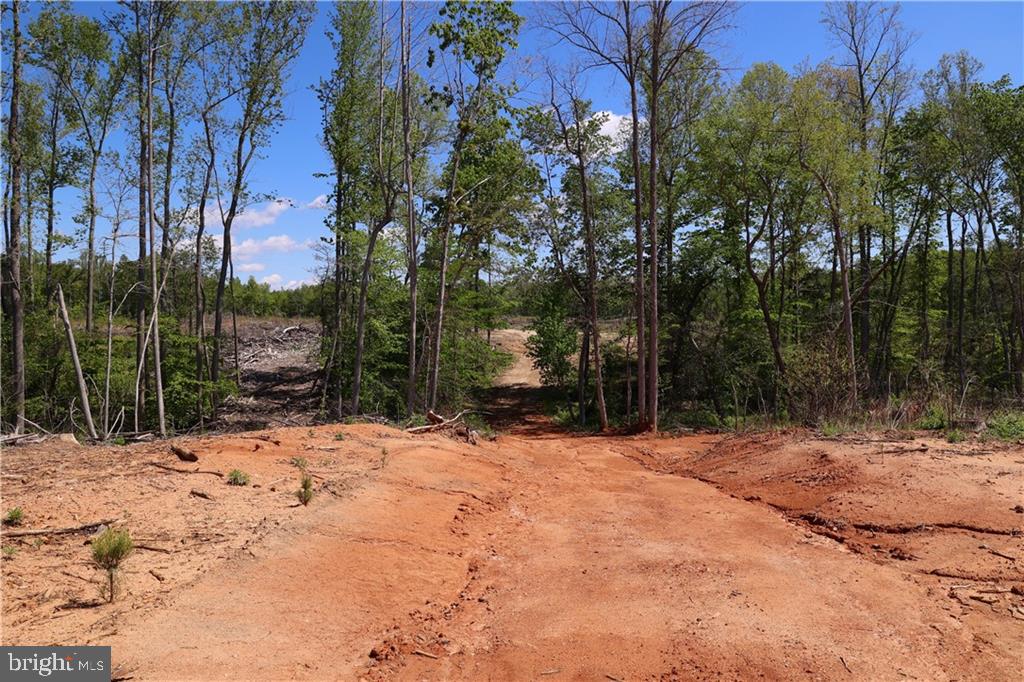 0 OLD APPLE GROVE RD, MINERAL, Virginia 23117, ,Land,For sale,0 OLD APPLE GROVE RD,VALA2008228 MLS # VALA2008228